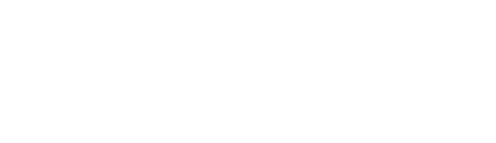 Emersa Logo